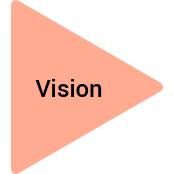 Vision